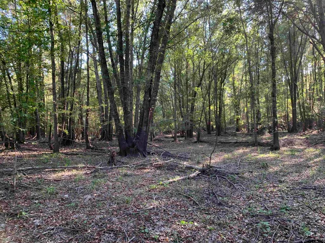 a view of outdoor space with trees