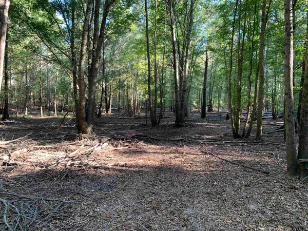 $1,400,000 | 10769 County Road 3519, Murchison, TX 75778