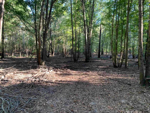 $1,500,000 | 10769 County Road 3519, Murchison, TX 75778