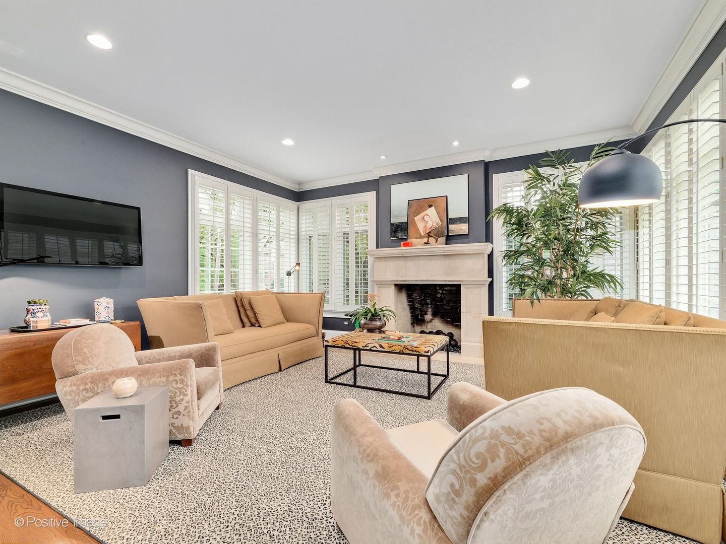 525 North York Road Hinsdale, IL 60521 - Photo 8 of 42