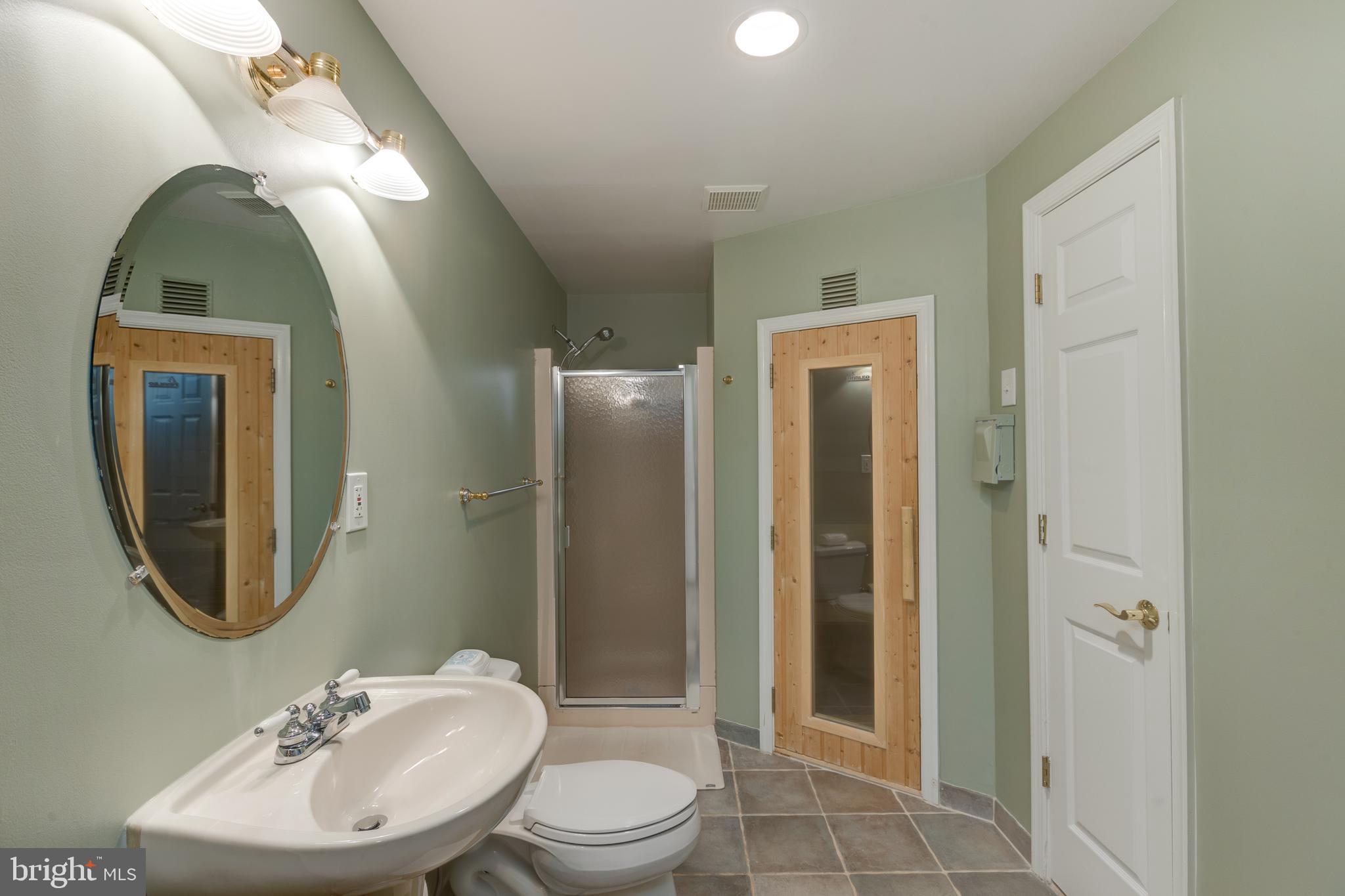 1282 Cobble Pond Way Vienna, VA 22182 - Photo 47 of 76 Lower level bath with sauna