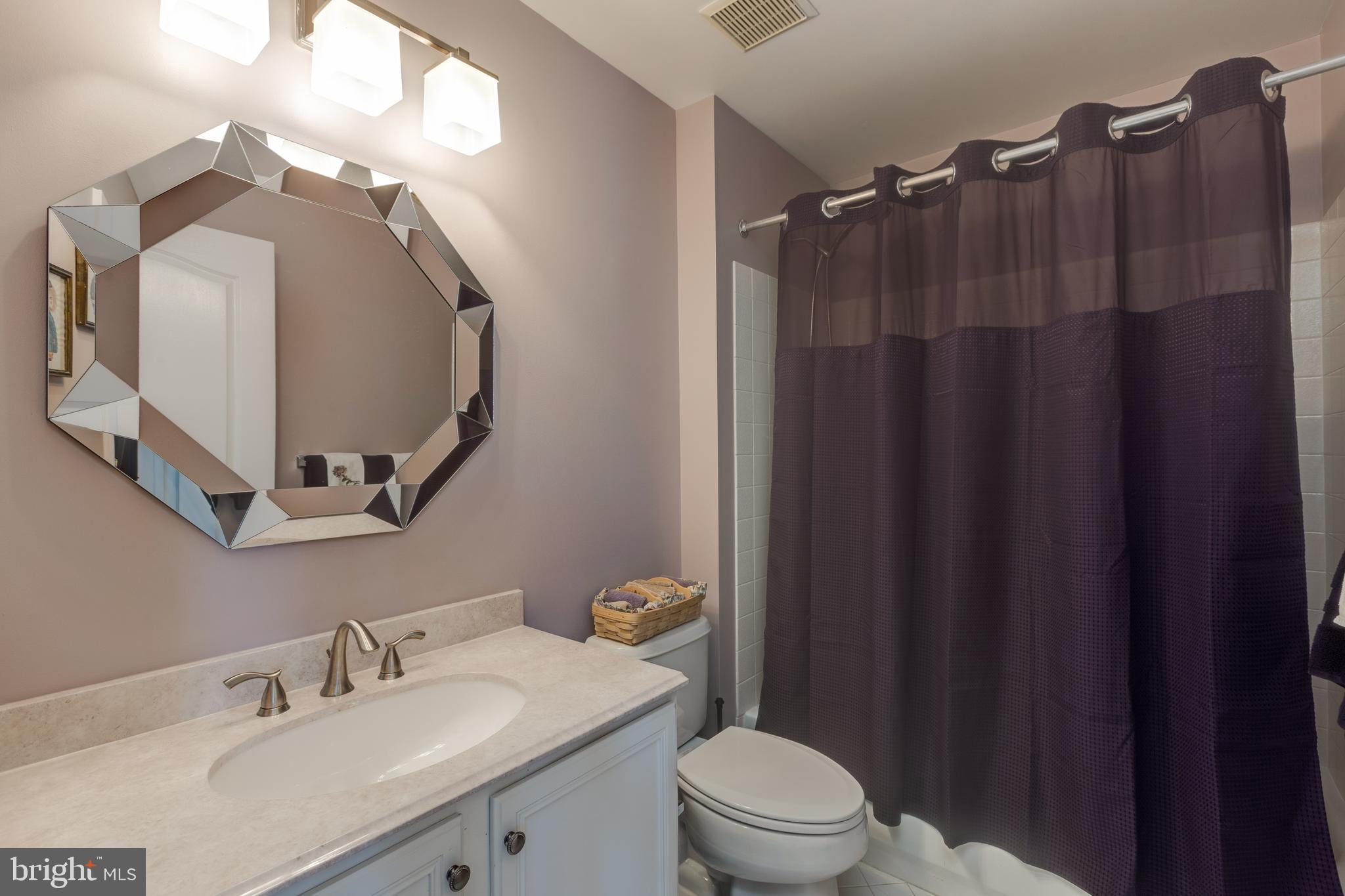 1282 Cobble Pond Way Vienna, VA 22182 - Photo 50 of 76 En suite bathroom 2
