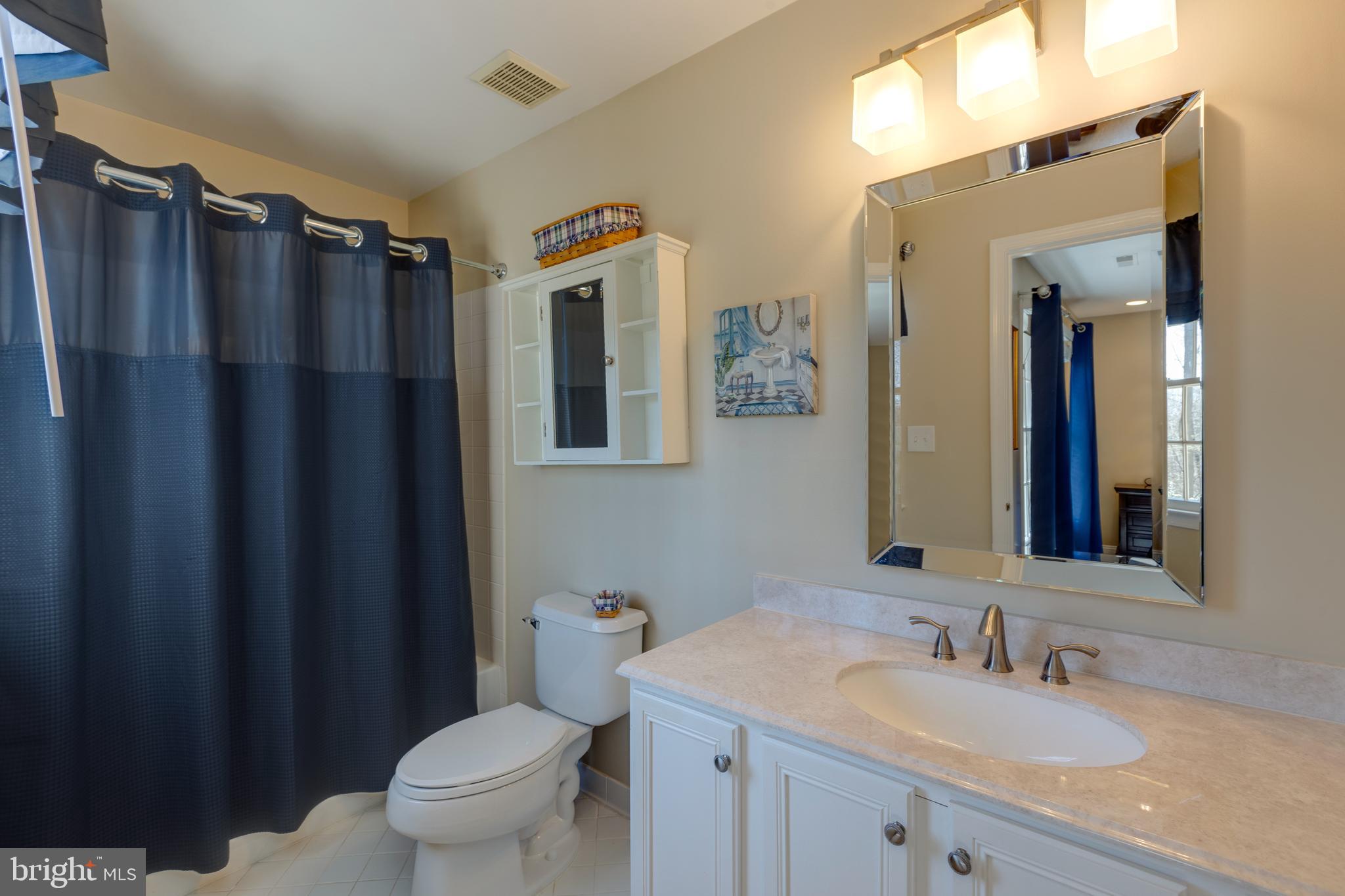 1282 Cobble Pond Way Vienna, VA 22182 - Photo 51 of 76 En suite bathroom 3