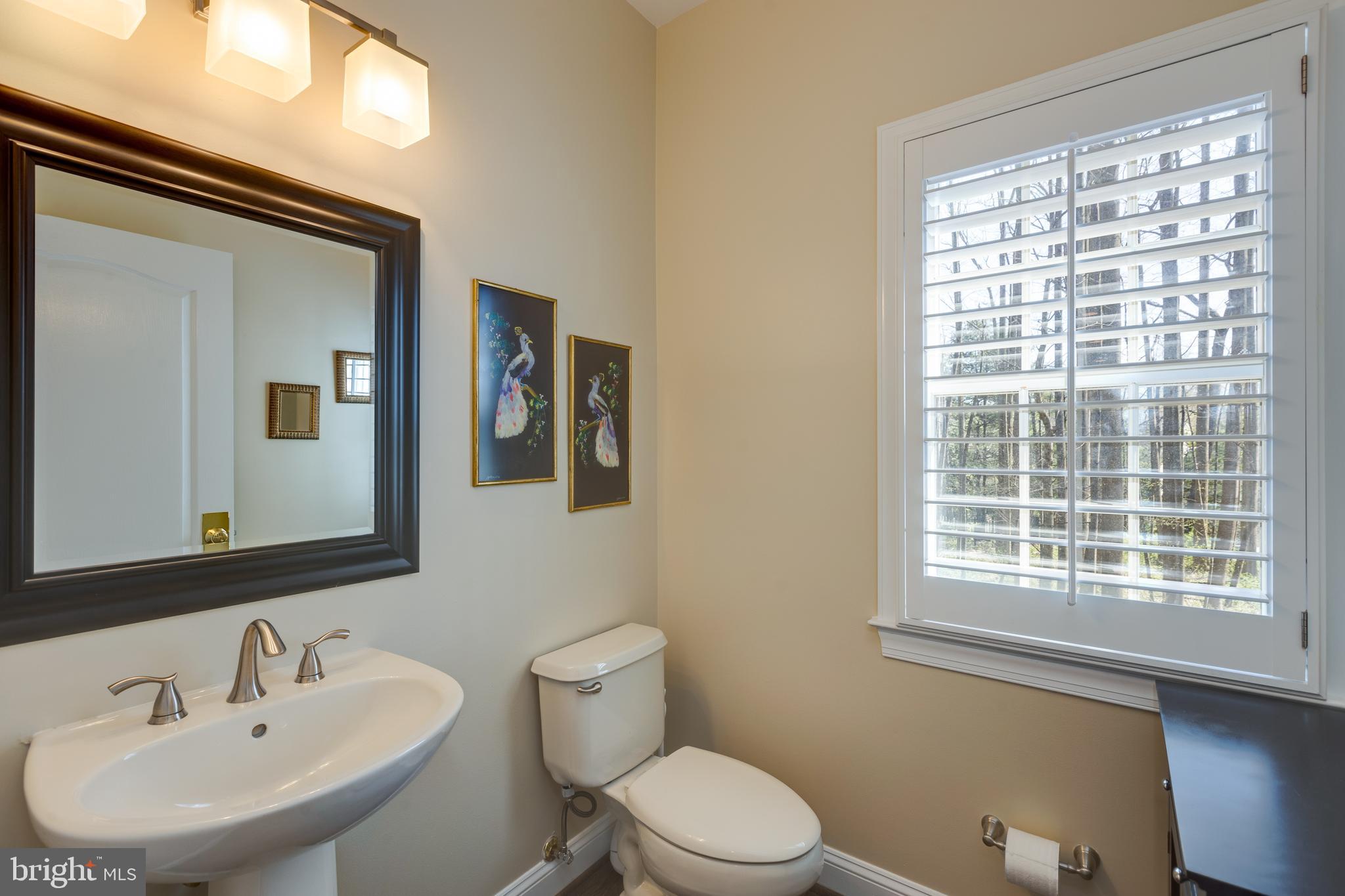 1282 Cobble Pond Way Vienna, VA 22182 - Photo 52 of 76 Main level Powder room