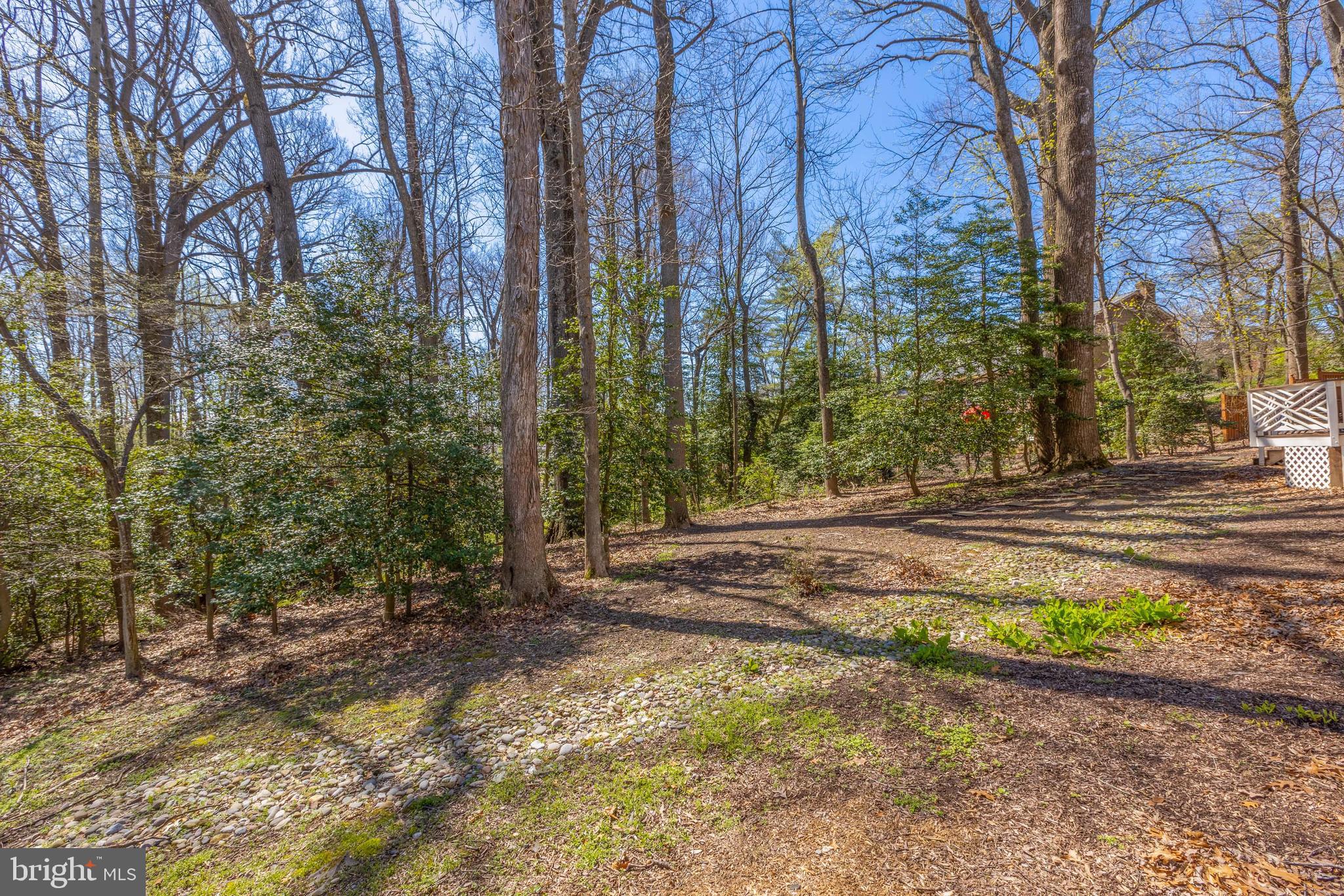 1282 Cobble Pond Way Vienna, VA 22182 - Photo 75 of 76