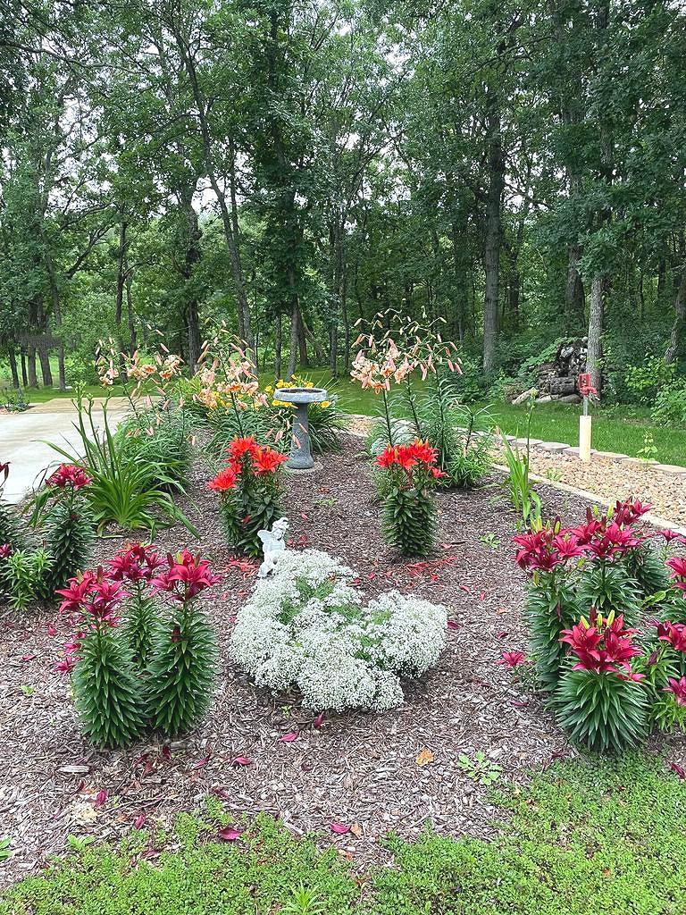 21641 Duck Lake Road Park Rapids, MN 56470 - Photo 50 of 53