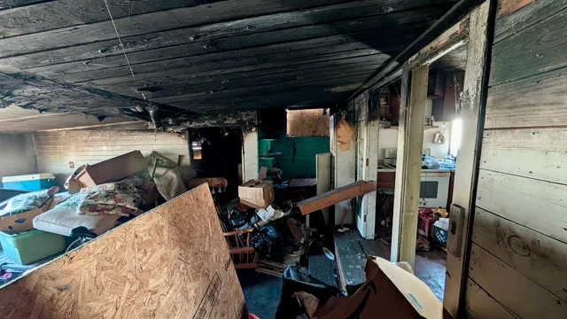 a view of a dining room with furniture and a potted plant