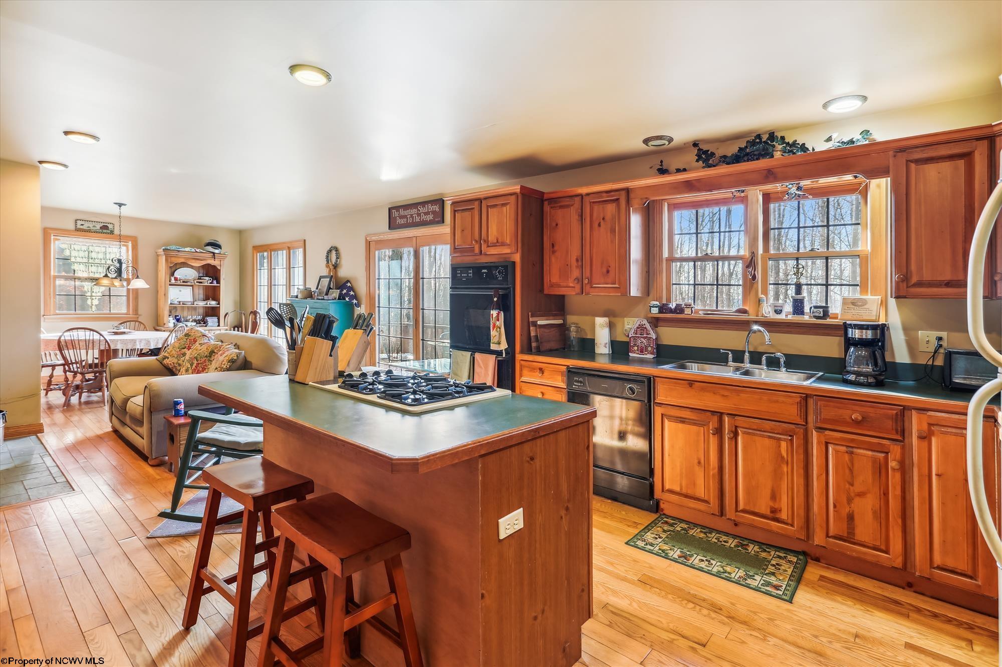 1951 Cabin Mountain Road Davis, WV 26260 - Photo 2 of 40 Gallery Image 2