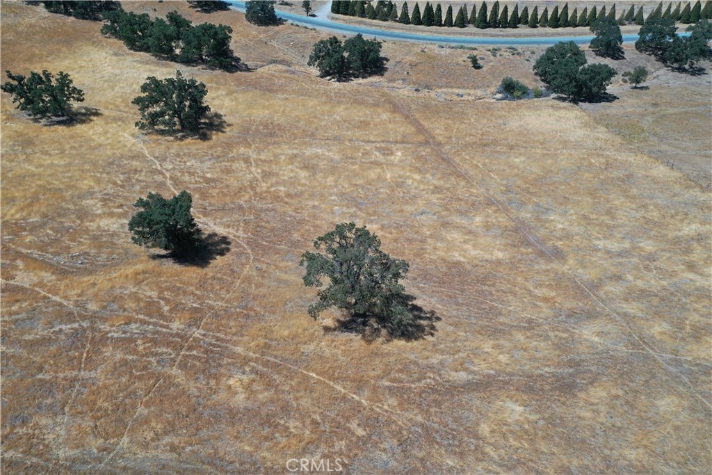 0 Arosa Tehachapi, CA 93561 - Photo 5 of 11 a bunch of flowers sitting in middle of a yard