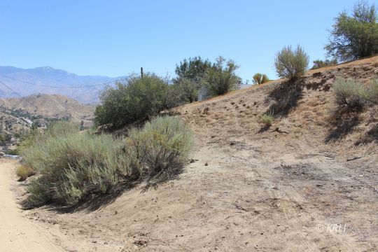 David Road Wofford Heights, CA 93285 - Photo 12 of 16 a view of a dry yard with mountains in the background