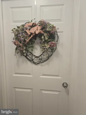 a close view of a plant in a kitchen