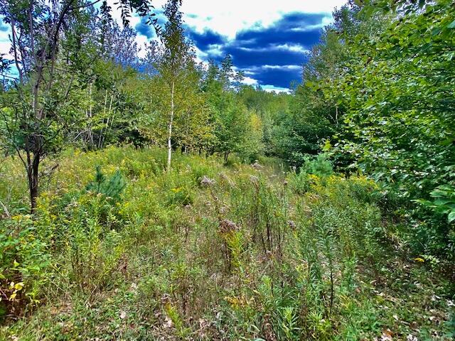 0 Ridge Road Holden, ME 04429 - Photo 2 of 12 IMG_3754
