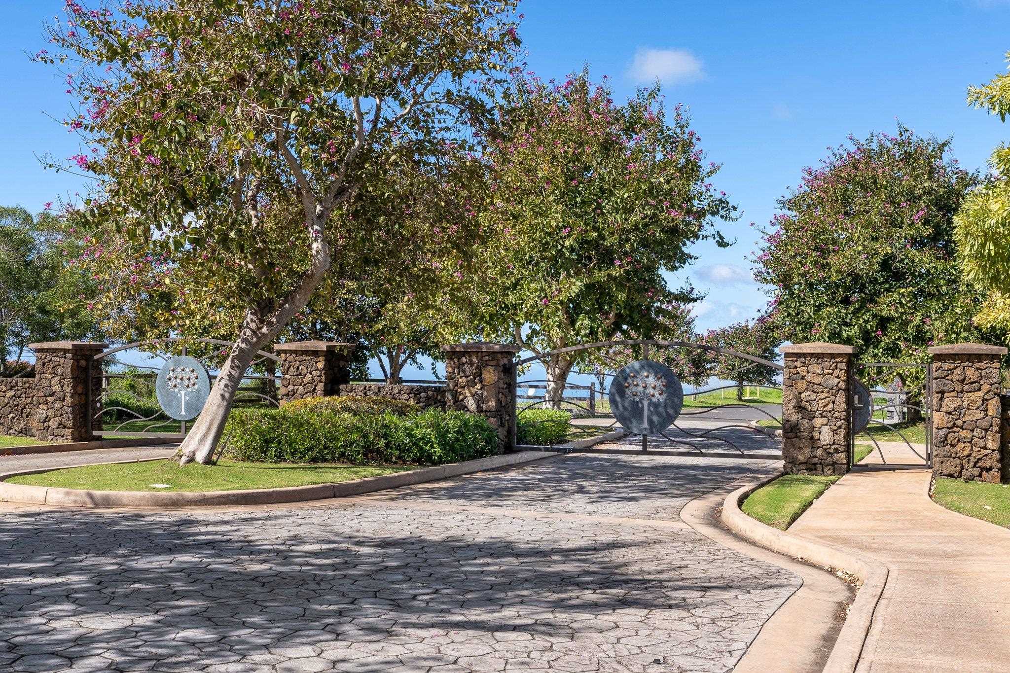 272 Huahua Street Kula, HI 96790 - Photo 3 of 43 a view of a park with swings and slides