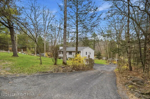 a view of road and trees