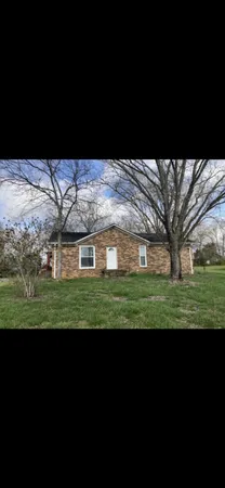 a view of a big yard with a large tree