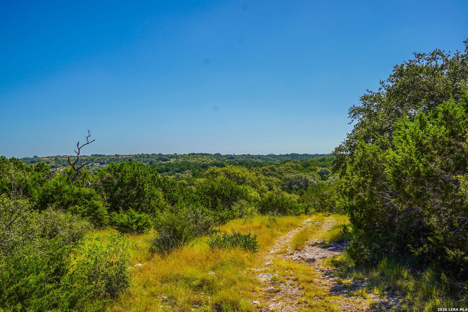 14468 County Road 310 Rocksprings, TX 78880 - Photo 19 of 101 Gallery Image 19