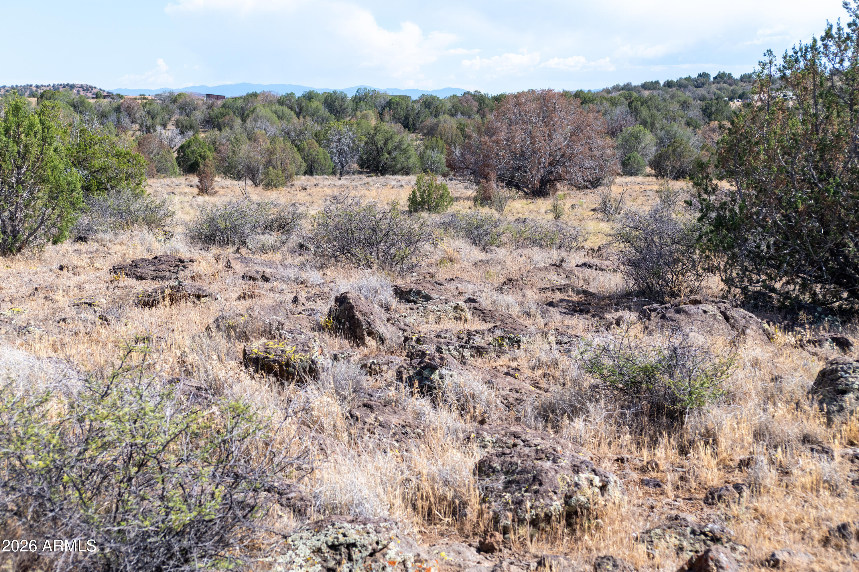 2.13-acres North Headwaters Road, Unit 7 Paulden, AZ 86334 - Photo 9 of 17 a view of a dry yard with trees