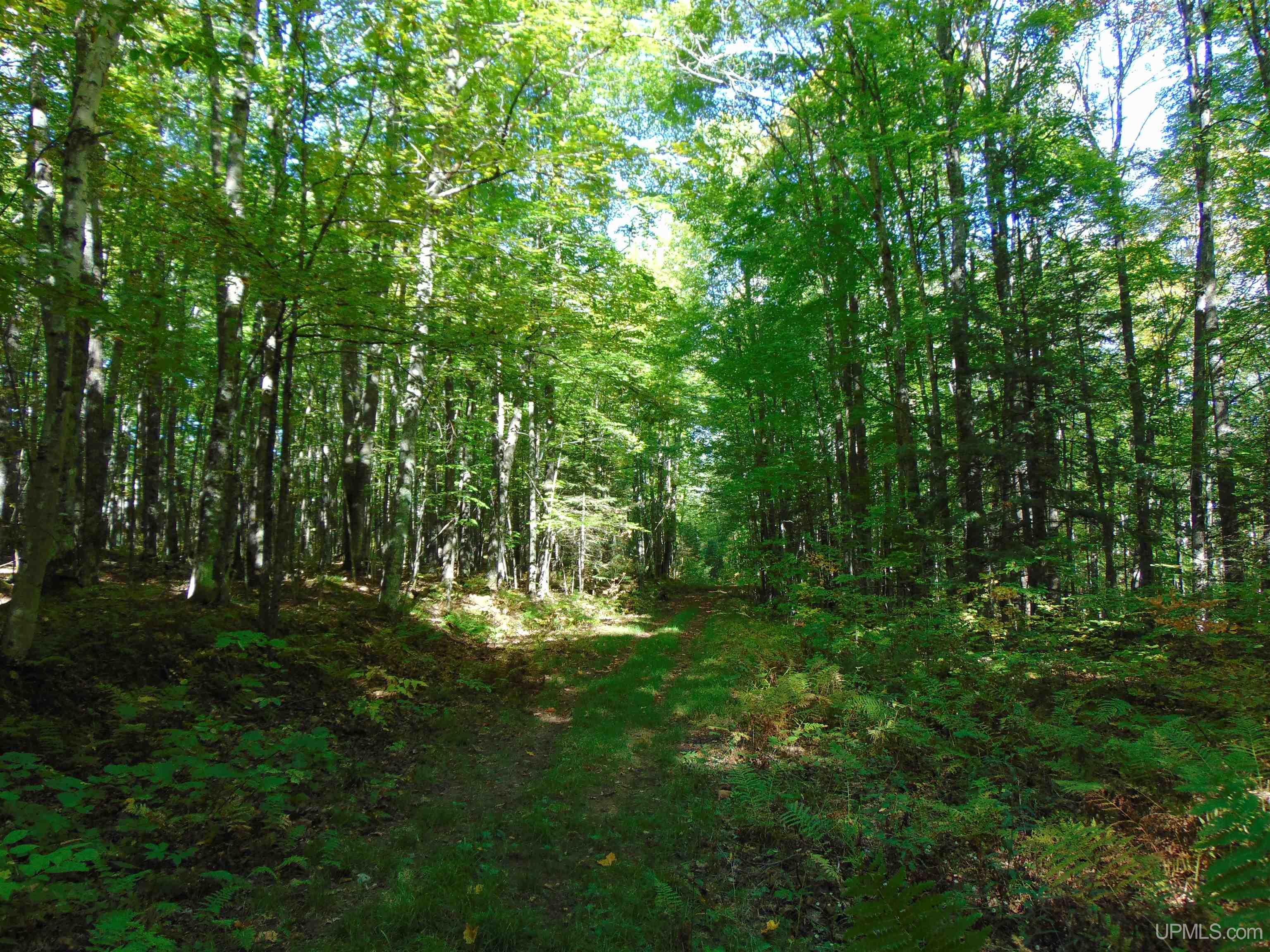 14571 Holombo Road Bruce Crossing, MI 49912 - Photo 25 of 30