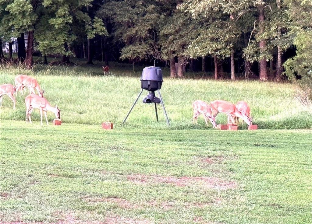 695 Cooper Road Social Circle, GA 30025 - Photo 41 of 45