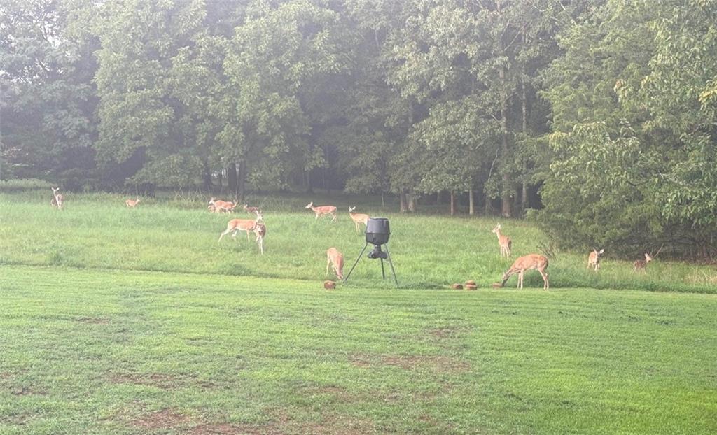 695 Cooper Road Social Circle, GA 30025 - Photo 42 of 45