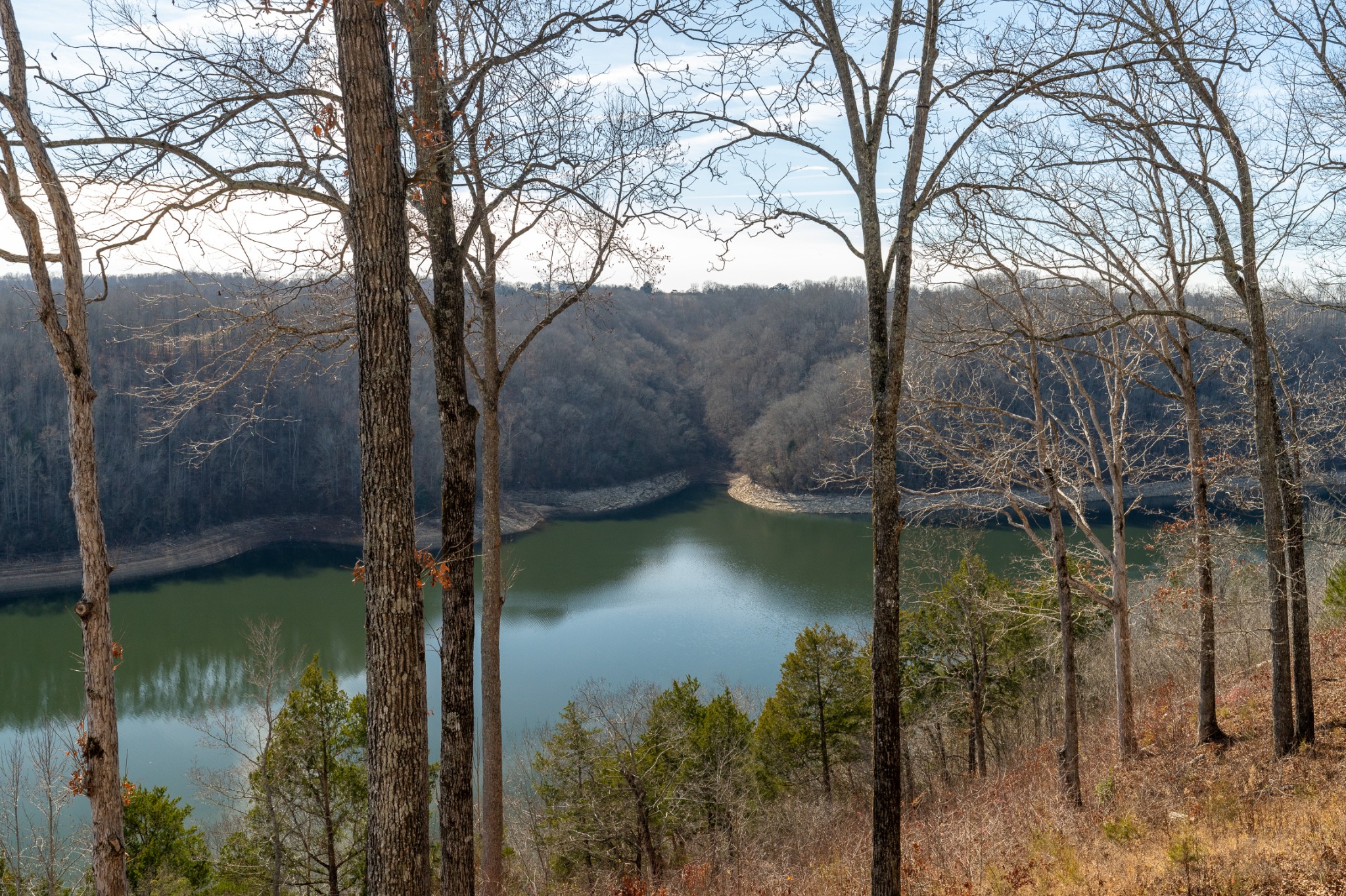 1290 Stillhouse Branch Road Sparta, TN 38583 - Photo 43 of 51 a view of lake