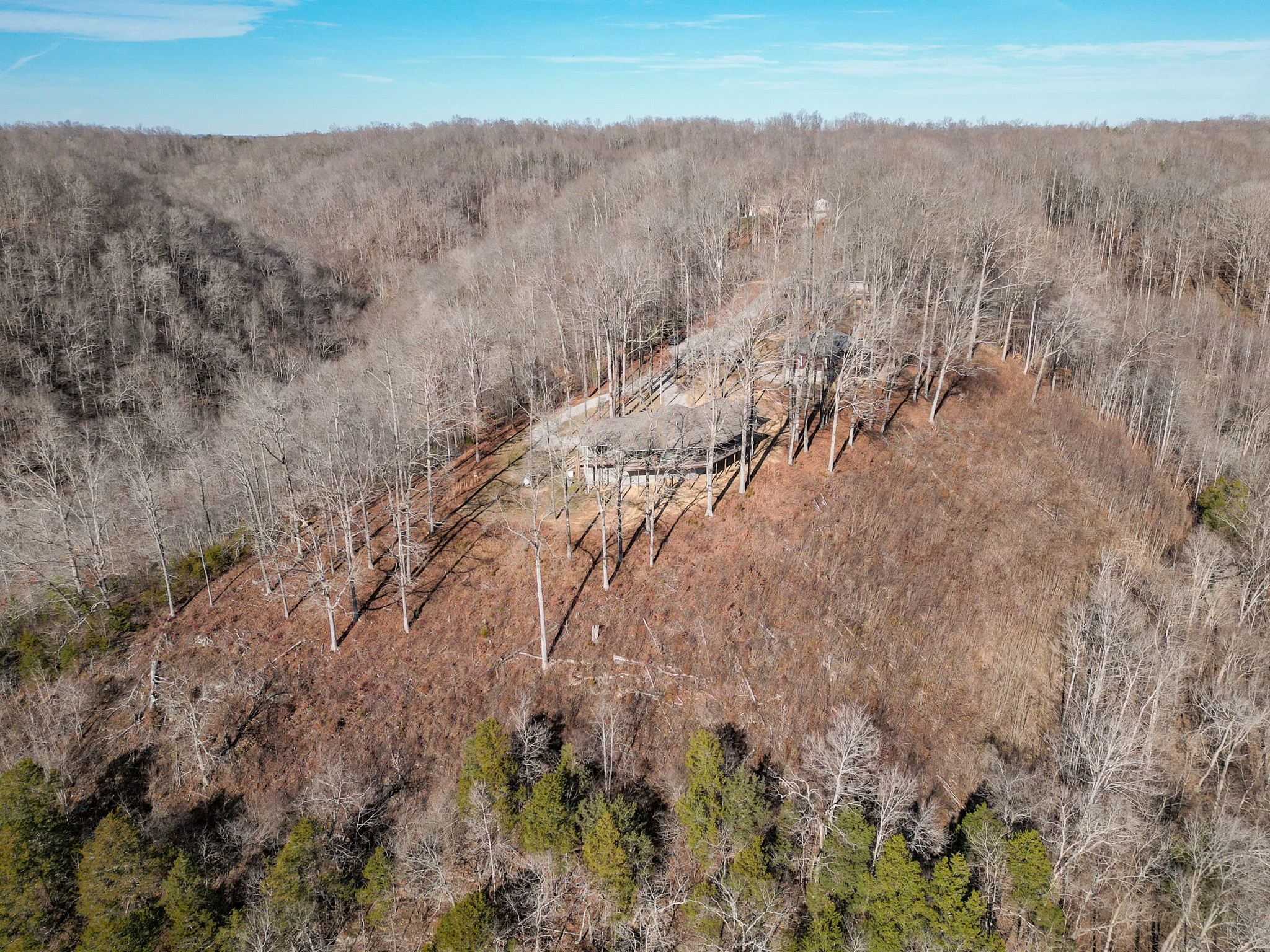 1290 Stillhouse Branch Road Sparta, TN 38583 - Photo 47 of 51 a view of a yard next to a road