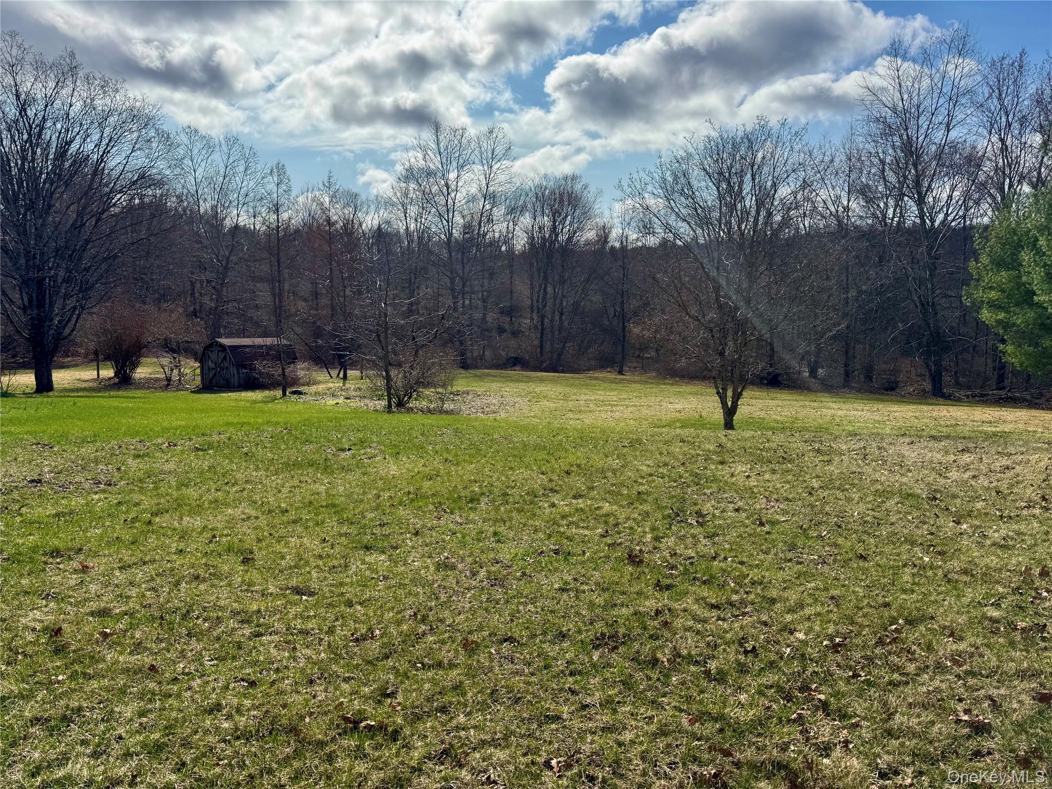 22 Knight Road Clinton Corners, NY 12514 - Photo 4 of 34 Sunny Open Fields with Fruit Trees