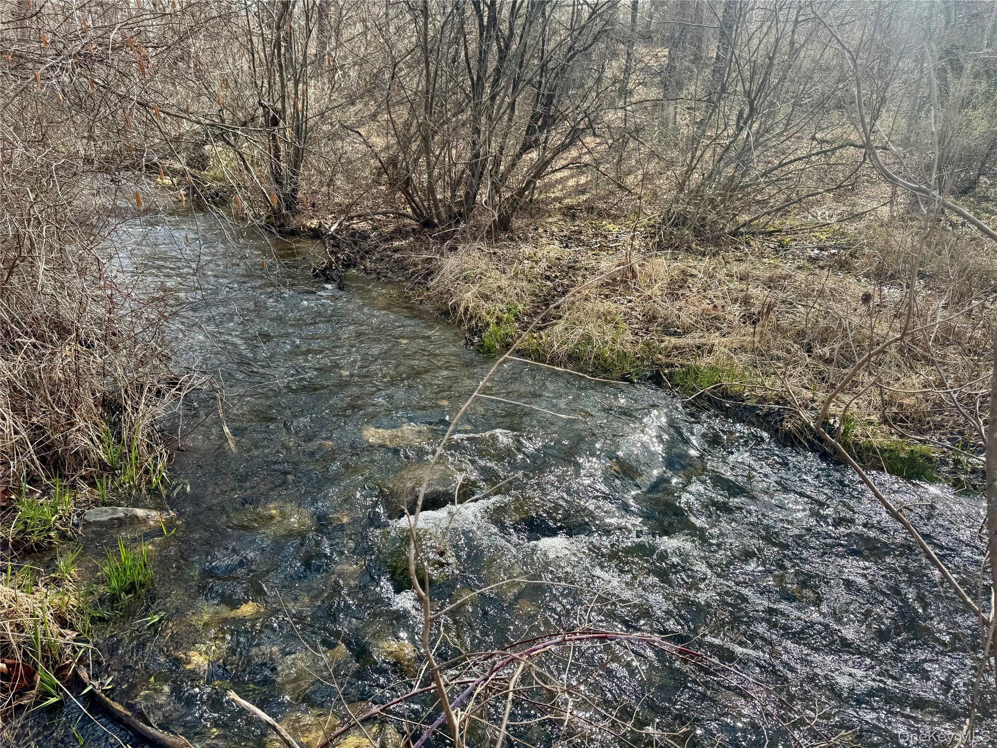 22 Knight Road Clinton Corners, NY 12514 - Photo 5 of 34 Walk to Little Wappingers Creek on the Property