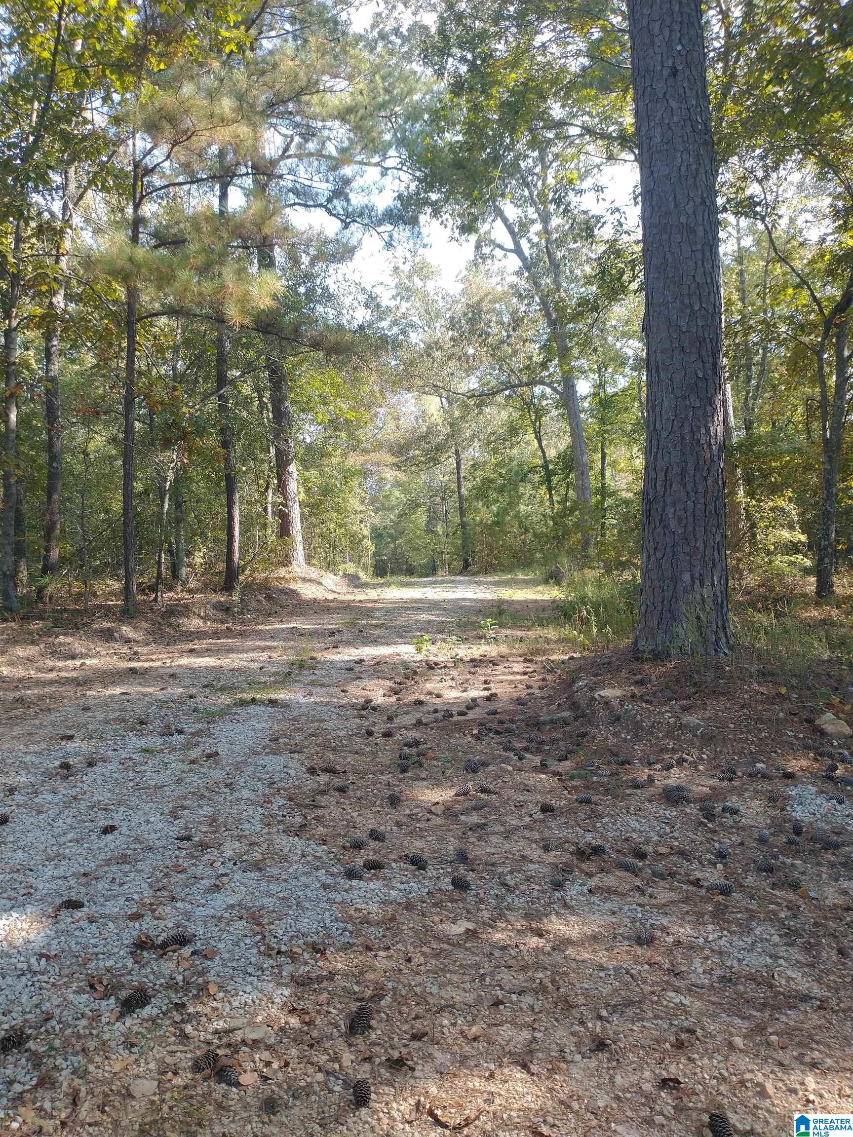 8100 Mckesie Street, Unit 81 ACRES Riverside, AL 35135 - Photo 16 of 18