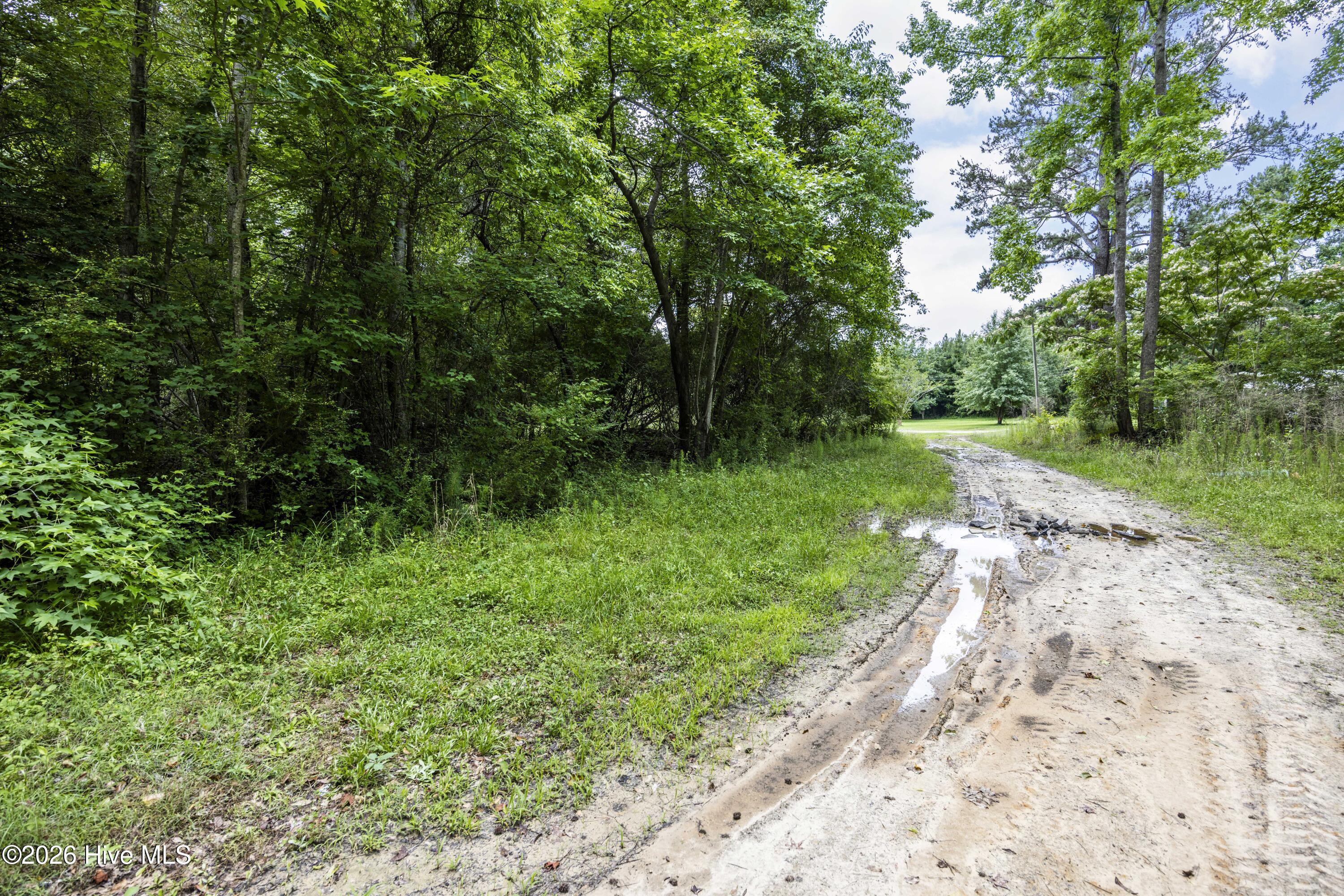 0 Near 4868 Delco Pros Road Delco, NC 28436 - Photo 10 of 10