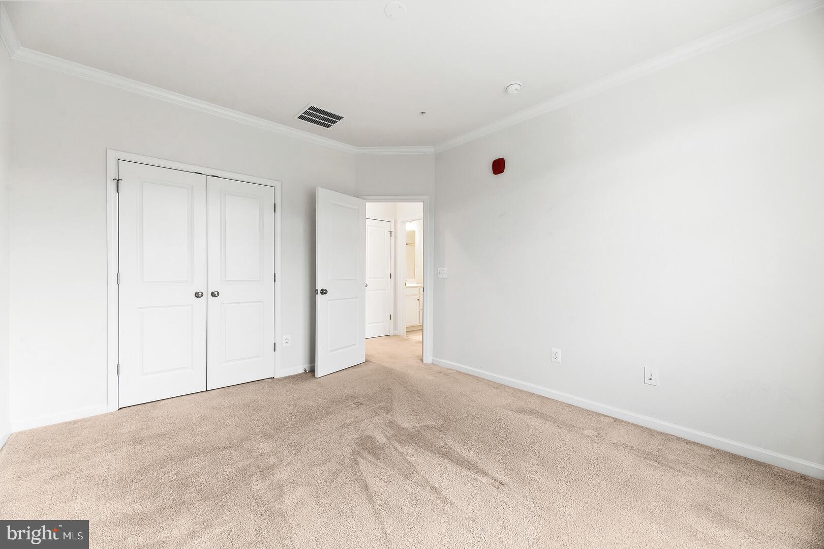 1320 Ribbon Limestone Terrace Southeast Leesburg, VA 20175 - Photo 18 of 30 Second bedroom boasts a large closet