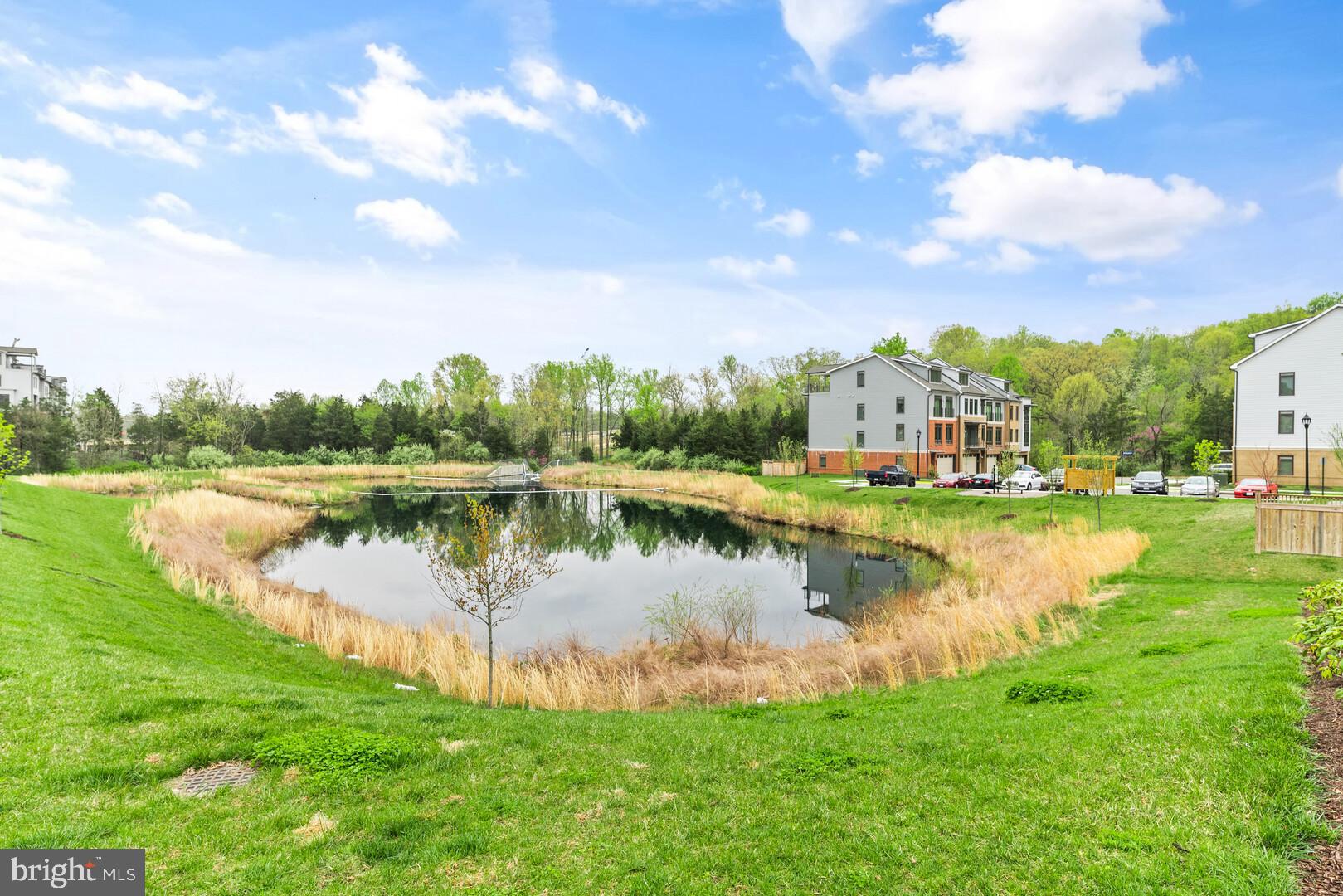 1320 Ribbon Limestone Terrace Southeast Leesburg, VA 20175 - Photo 27 of 30 A perfect place to enjoy nature