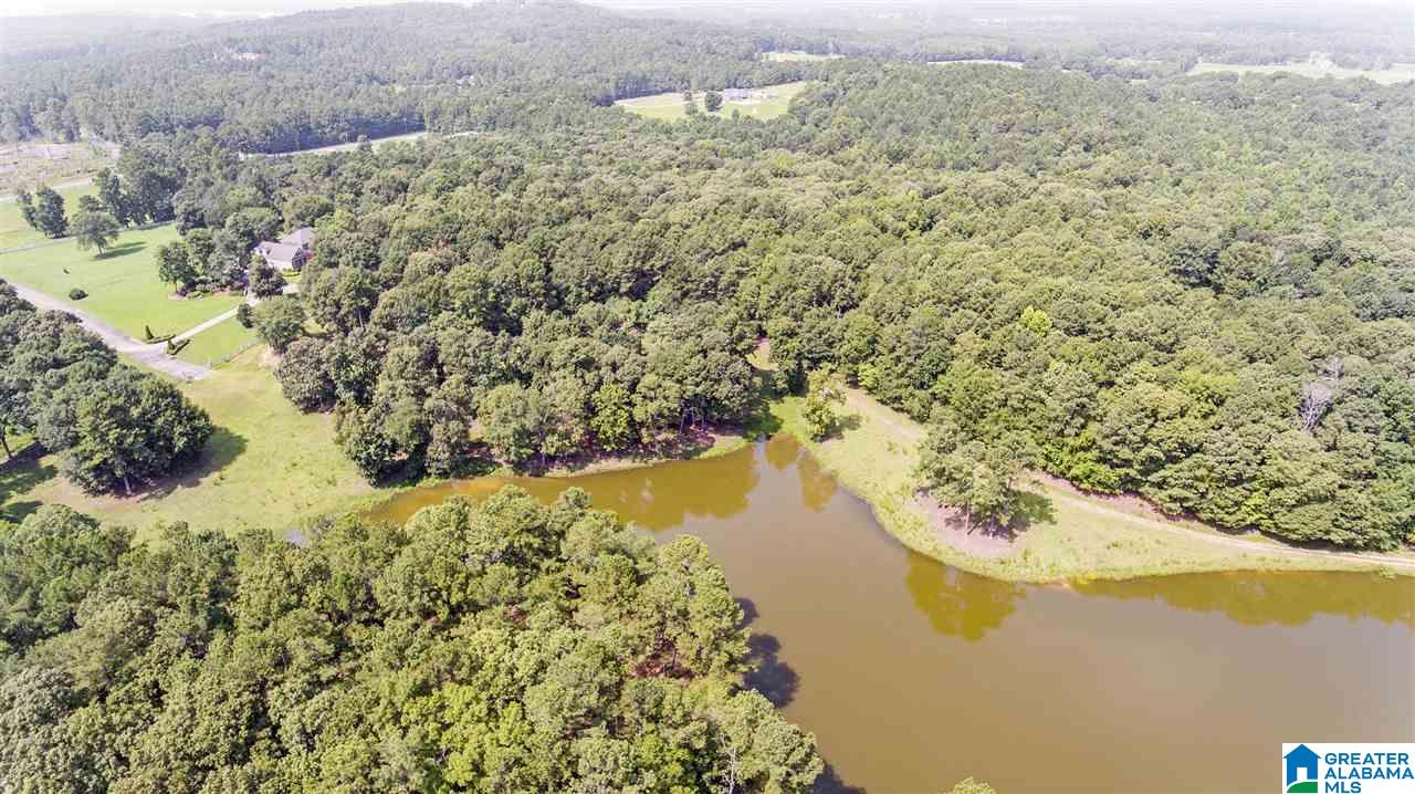 5315 Mays Bend Road Pell City, AL 35128 - Photo 48 of 50