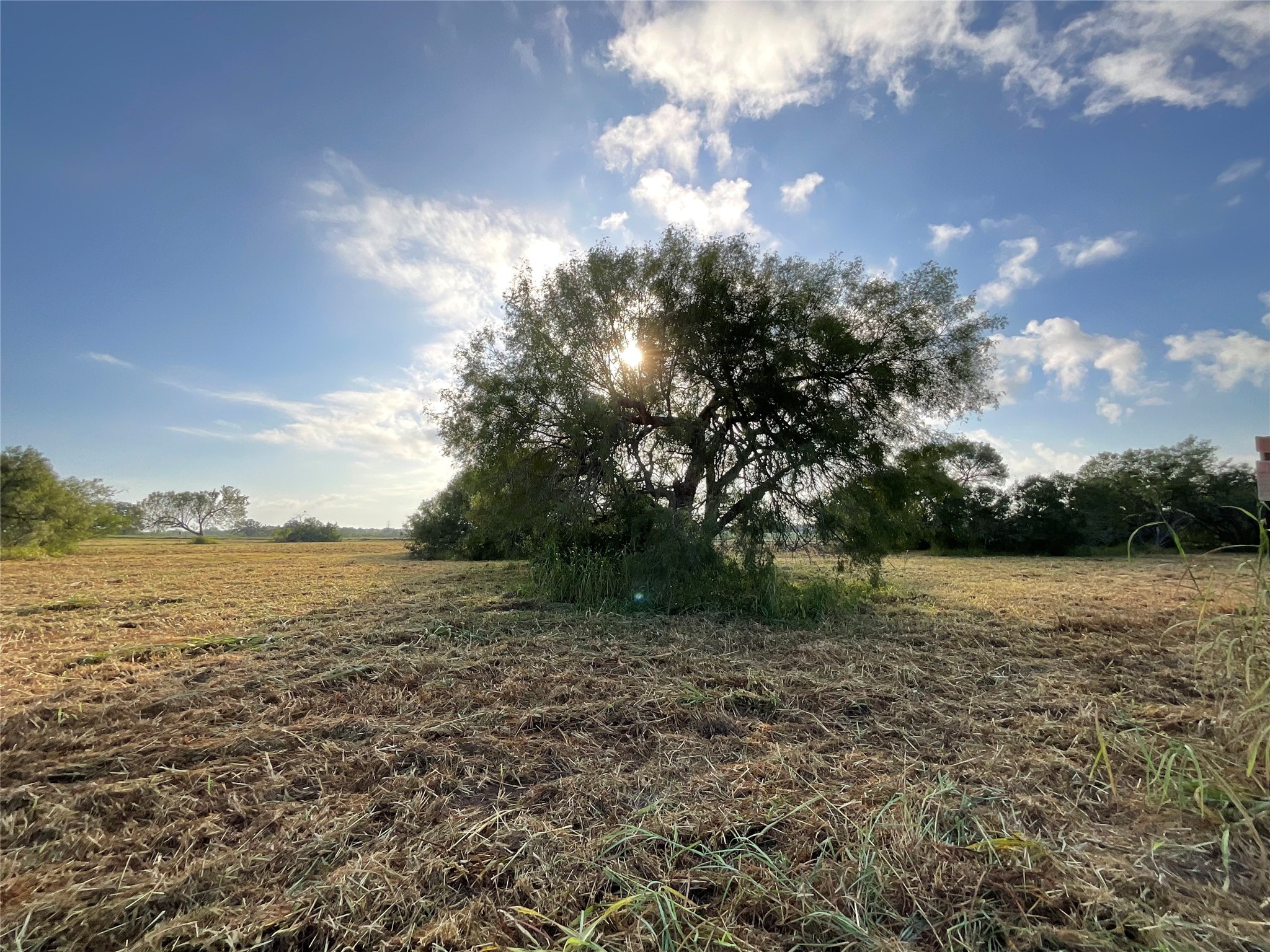 1932 Old Goliad Road Cuero, TX 77954 - Photo 12 of 21 a view of lake view and mountain