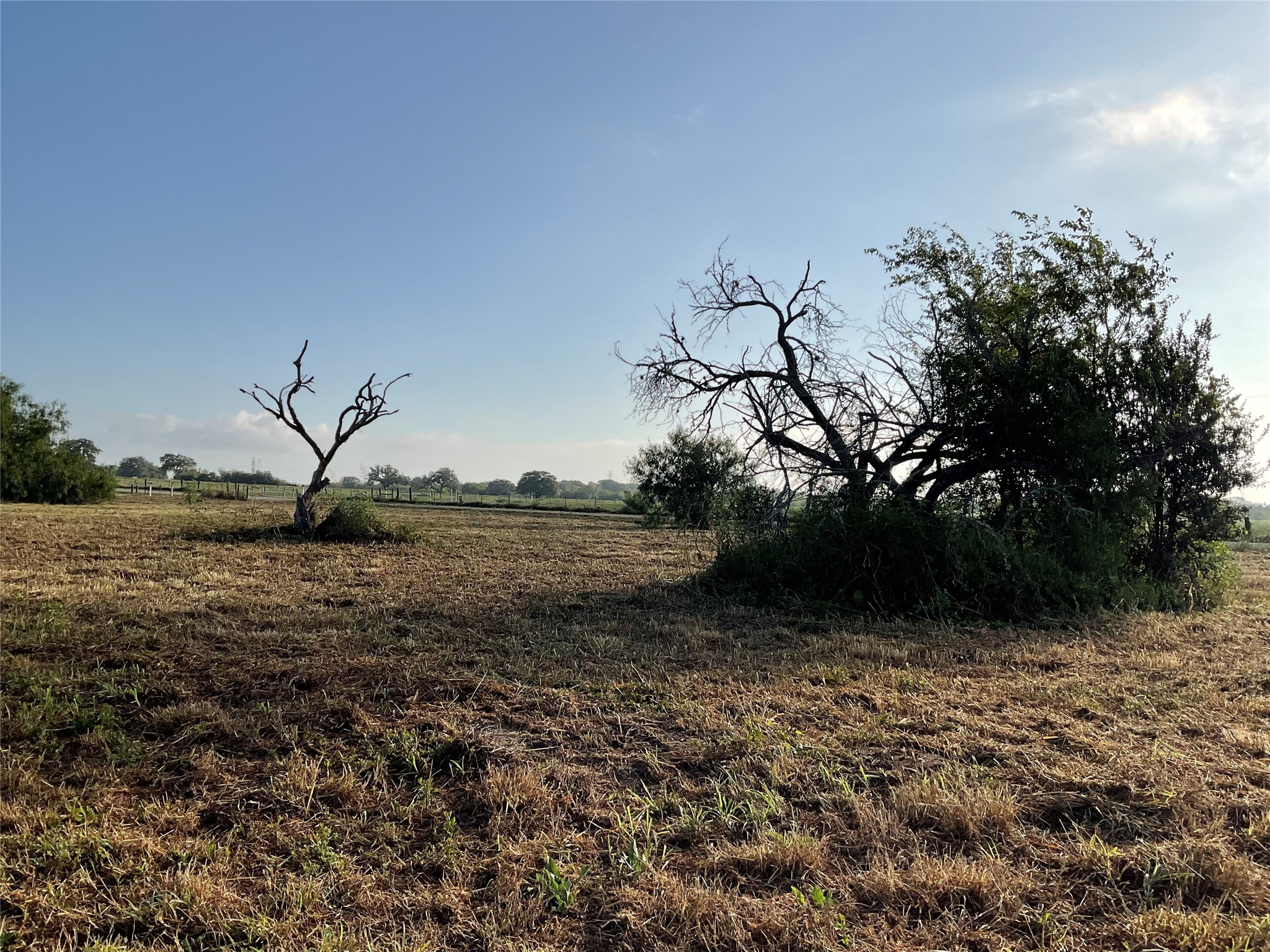 1932 Old Goliad Road Cuero, TX 77954 - Photo 18 of 25 a view of a yard