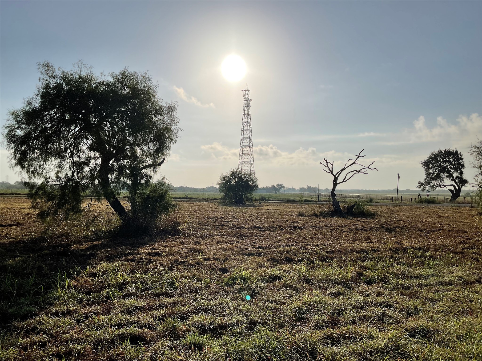 1932 Old Goliad Road Cuero, TX 77954 - Photo 20 of 21 a view of a beach with a tree in the background