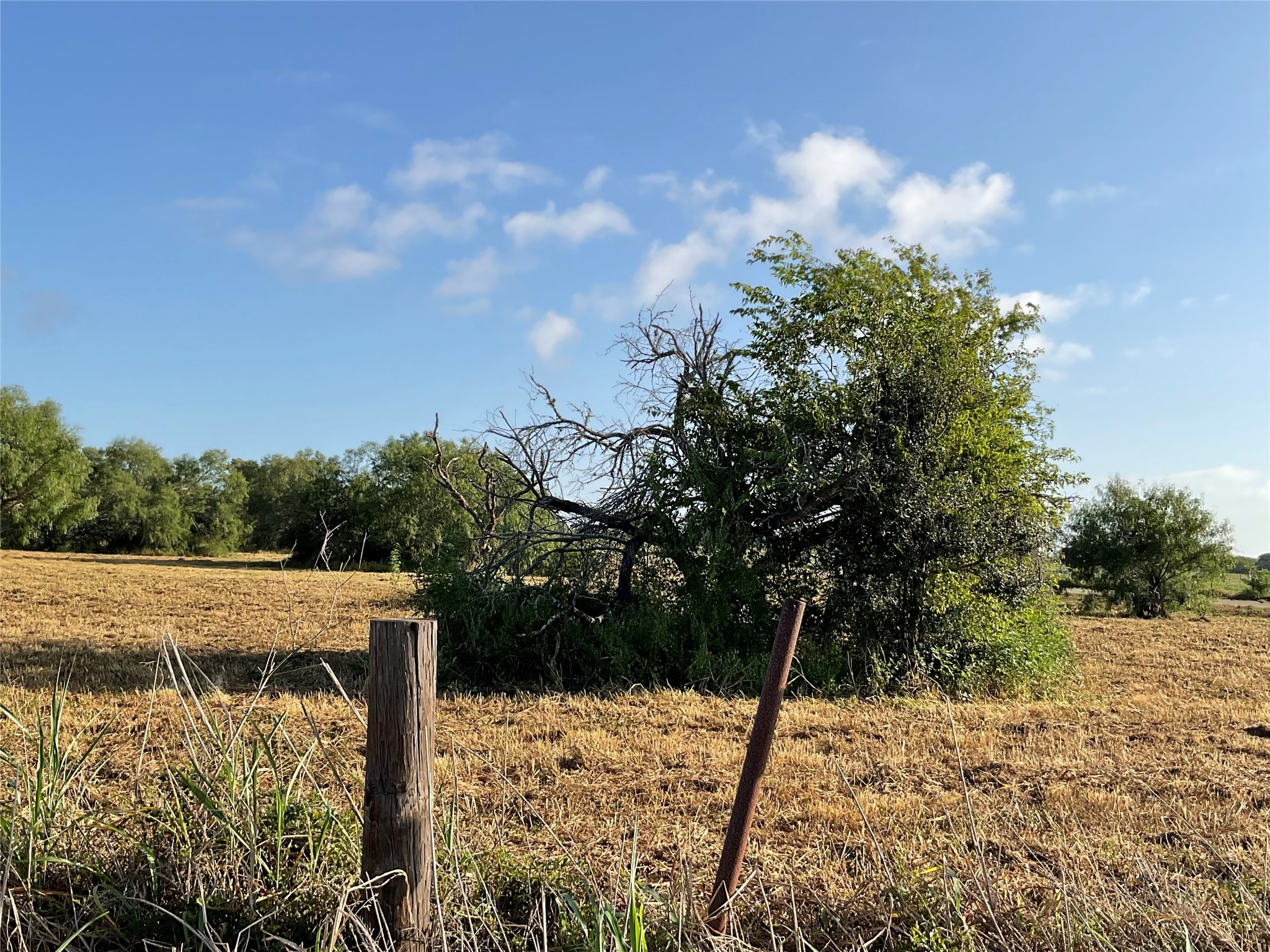 1932 Old Goliad Road Cuero, TX 77954 - Photo 2 of 21 a view of a backyard