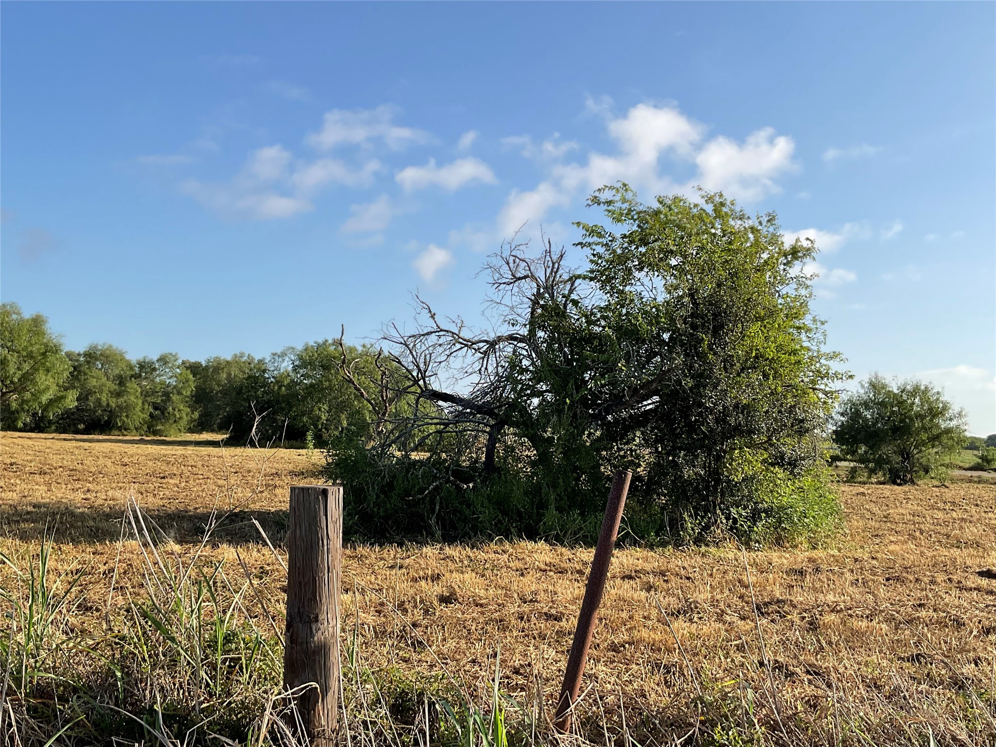 1932 Old Goliad Road Cuero, TX 77954 - Photo 2 of 25 a view of a backyard