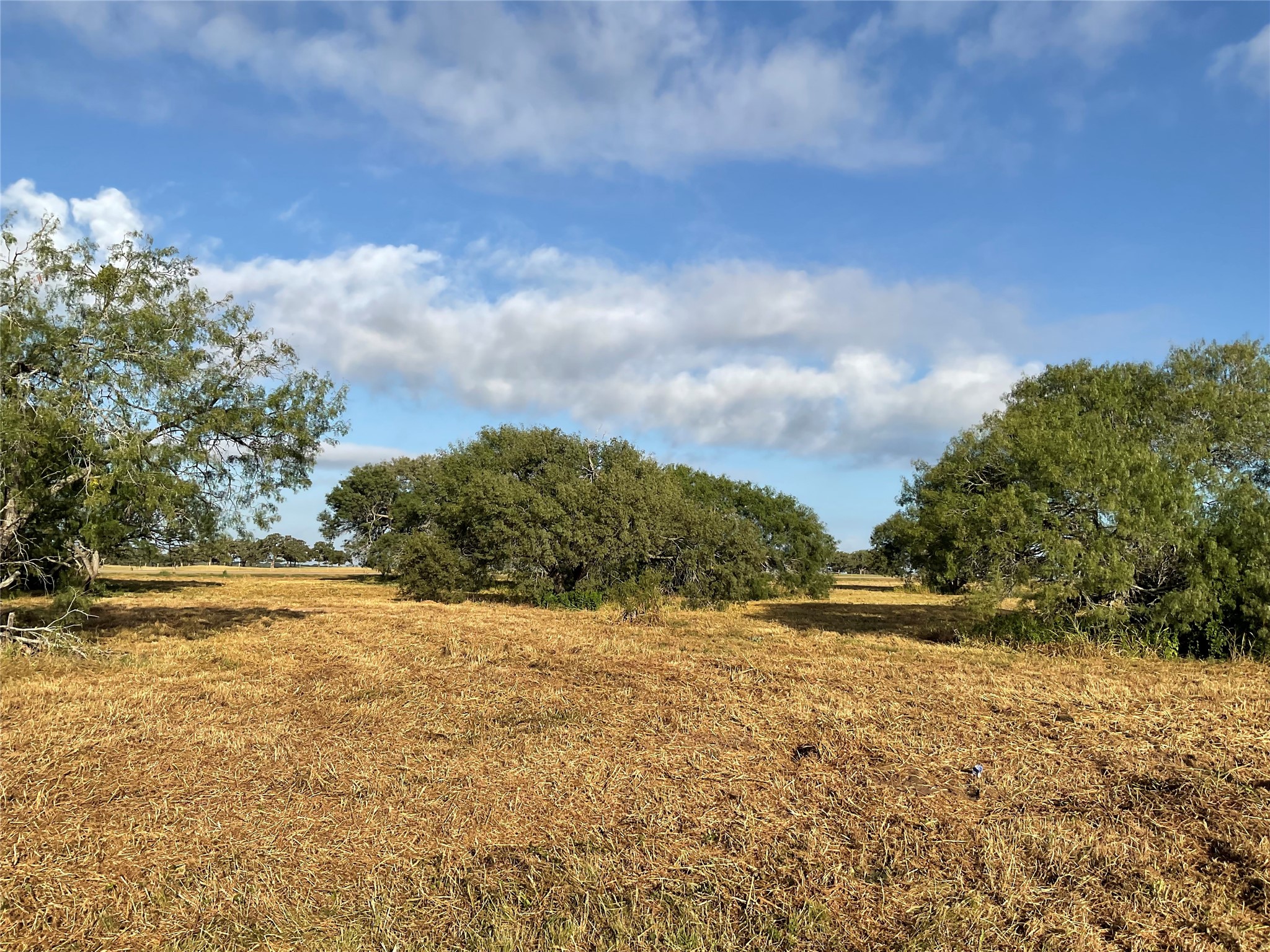 1932 Old Goliad Road Cuero, TX 77954 - Photo 8 of 25 a view of yard with green space