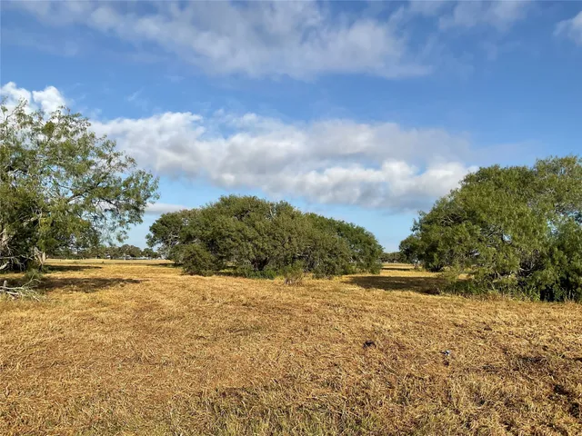 a view of a yard with large trees