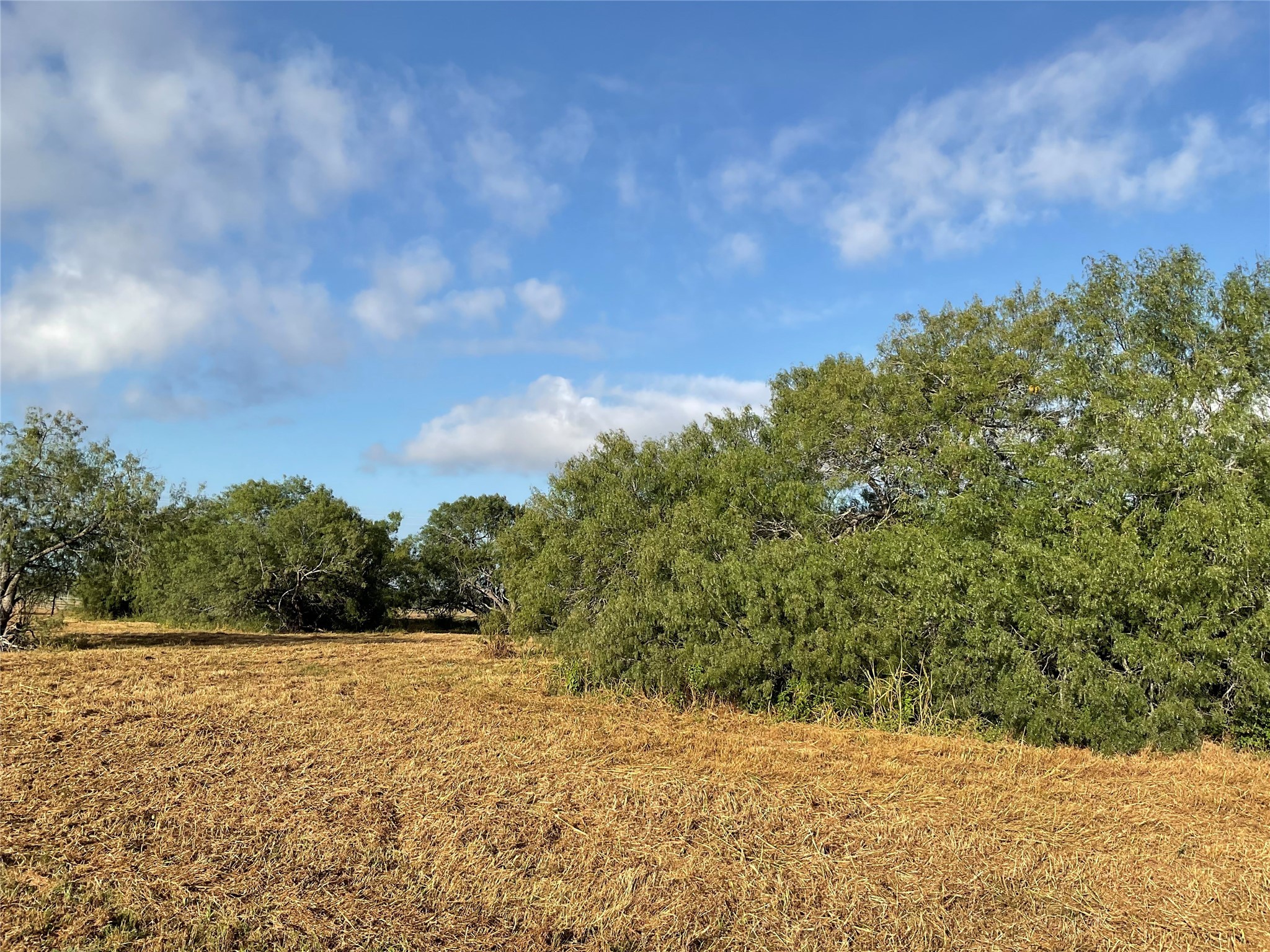 1932 Old Goliad Road Cuero, TX 77954 - Photo 10 of 21