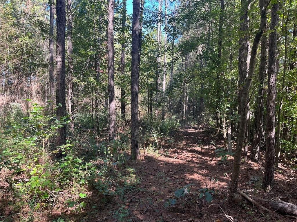 0 Needmore Road Carrollton, GA 30117 - Photo 1 of 1 a view of a forest with trees