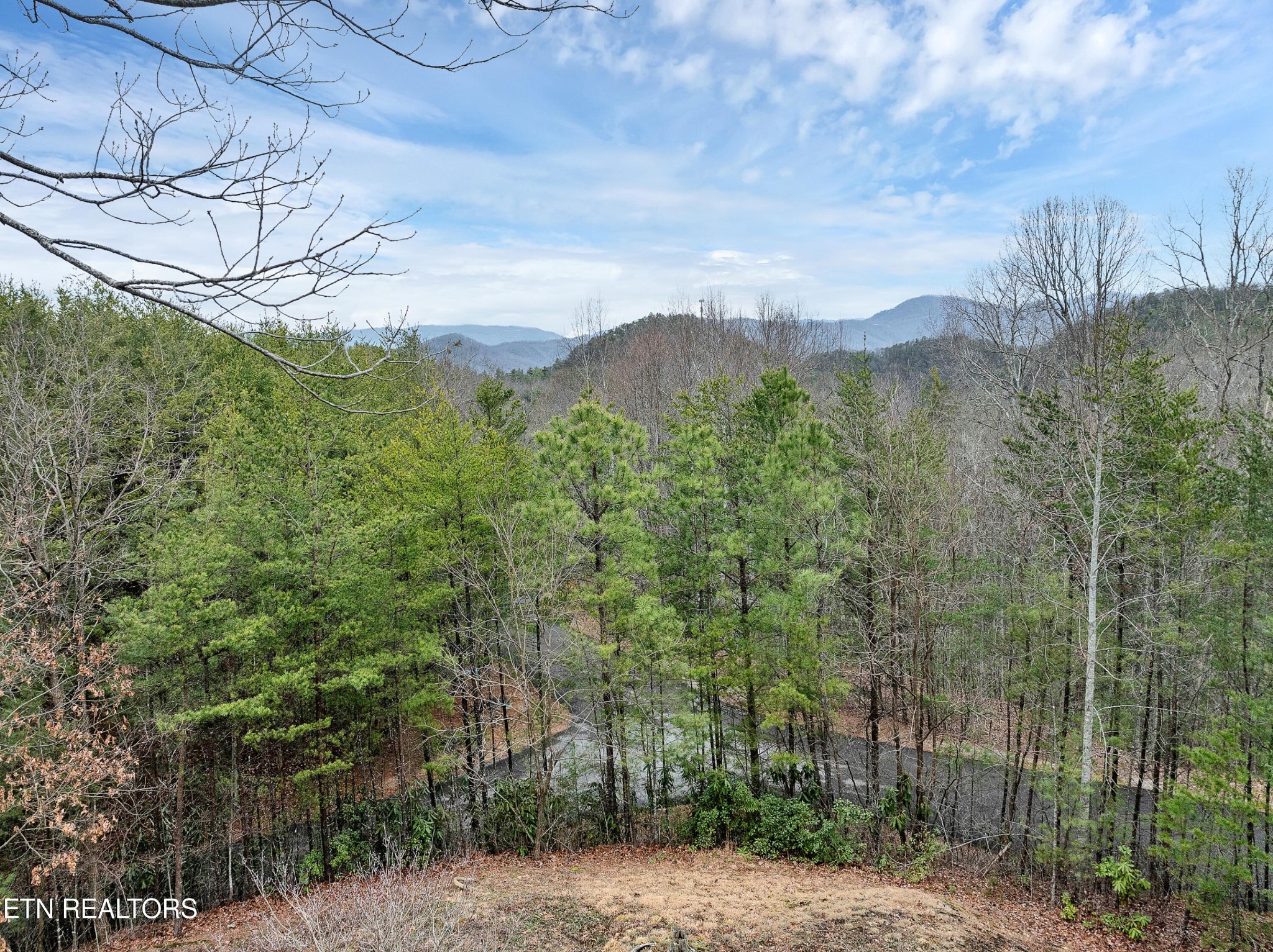 802 Stonegate Way Townsend, TN 37882 - Photo 15 of 44 a view of a city with lush green forest