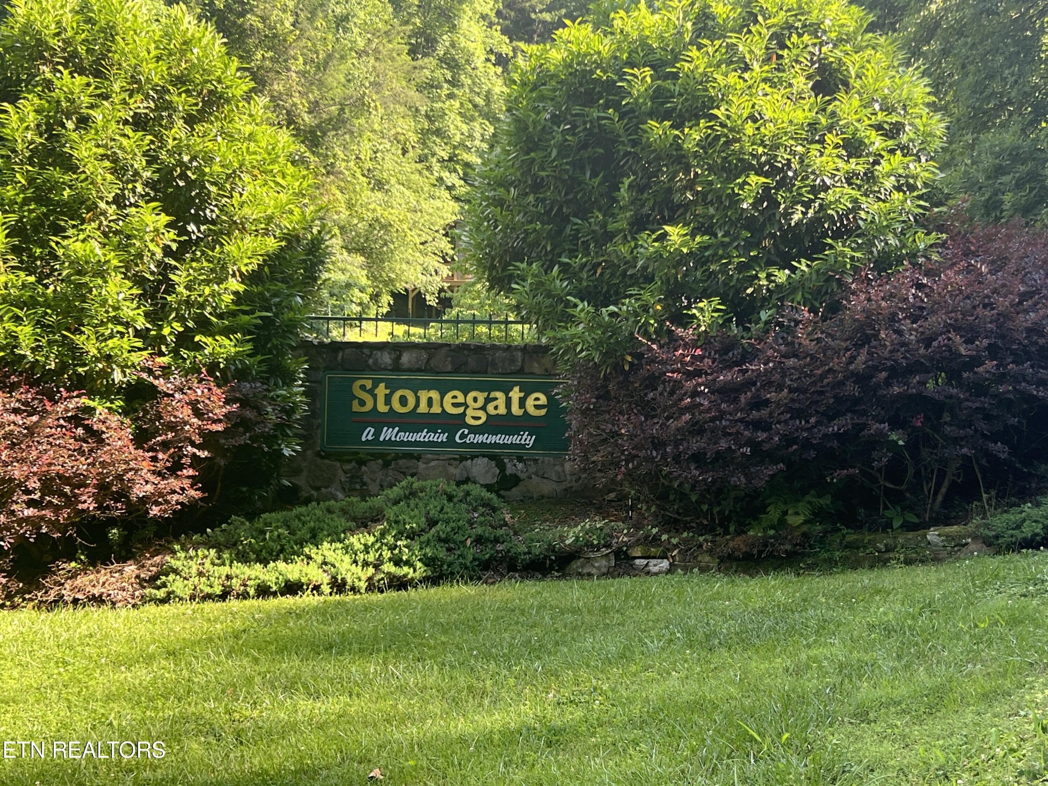 802 Stonegate Way Townsend, TN 37882 - Photo 40 of 44 a green field with trees in the background