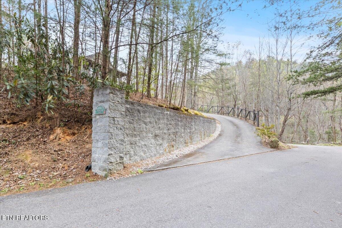 802 Stonegate Way Townsend, TN 37882 - Photo 42 of 44 a view of a road with a yard