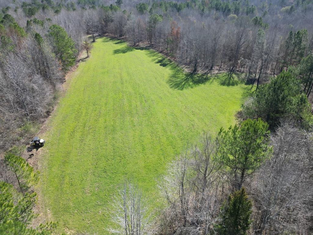 5885 New Hope Road Meadville, MS 39653 - Photo 1 of 46 Main View