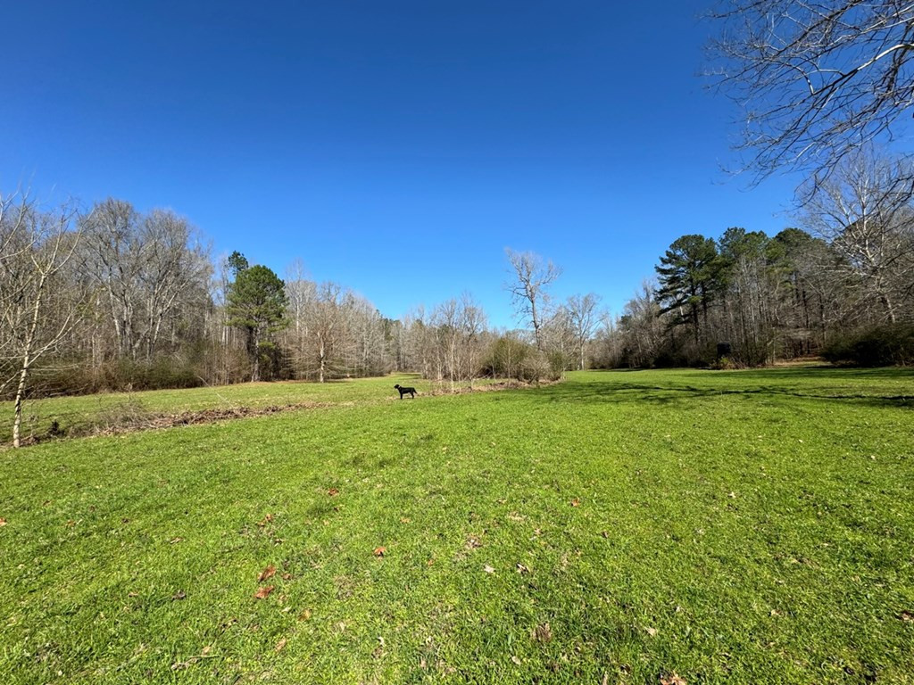 5885 New Hope Road Meadville, MS 39653 - Photo 12 of 46 Photo 12