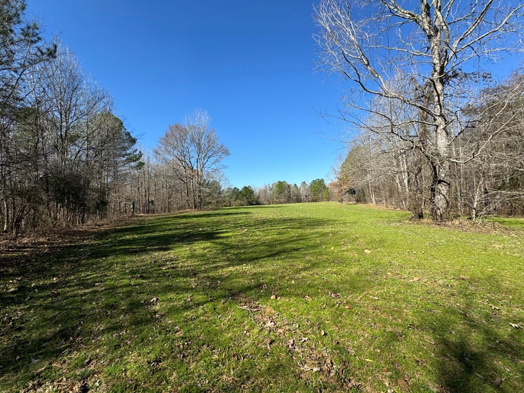 5885 New Hope Road Meadville, MS 39653 - Photo 8 of 46 Photo 8