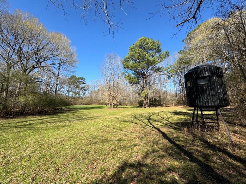 5885 New Hope Road Meadville, MS 39653 - Photo 10 of 46 Photo 10