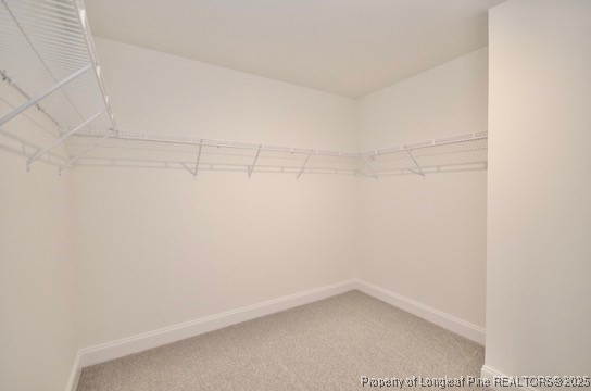 2885 Lemuel Black Road Spring Lake, NC 28390 - Photo 27 of 42